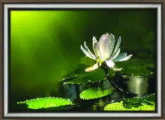 Rhinestone decoration kit KC-1014 "White lotus"