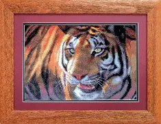Cross-stitch kit №469 "Tiger"