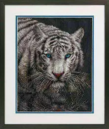 70-35289 Counted cross stitch kit DIMENSIONS "Into the Light"