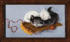 Felting kit V-38 “Idyl”  