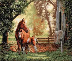 35260 Counted cross stitch kit DIMENSIONS "Mare and Foal"