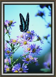 Rhinestone decoration kit KC-1023 "Charm of nature"