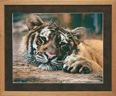 Beadwork kit B-517 "Expectation"