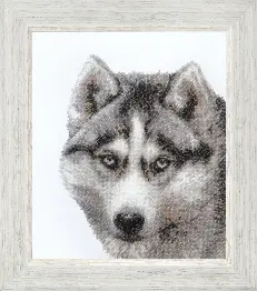 Beadwork kit B-062 "Husky" 