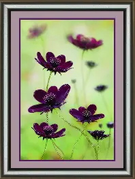 Rhinestone decoration kit KC-1065 "Cosmos"