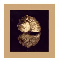 Mixed technique stitch kit M-06 "Sea gift"