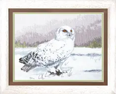 Cross-stitch kit М-80 "Wise owl Buklya"