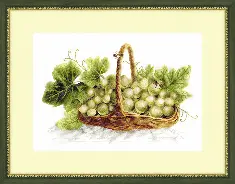 BT-170 Counted cross stitch kit Crystal Art "Amber grapes"