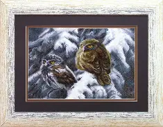 Cross-stitch kit №508 "Night patrol"