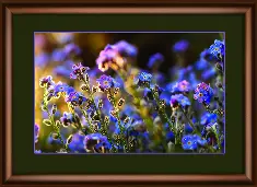 Rhinestone decoration kit KC-1021 "Forget-me-not"