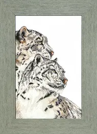 Cross-stitch kit M-248 "Two panthers"