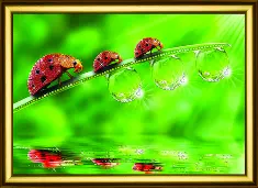 Rhinestone decoration kit KC-1046 "A walk all along the dew"