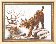 Cross-stitch kit М-22 "Lynx on a walk" 
