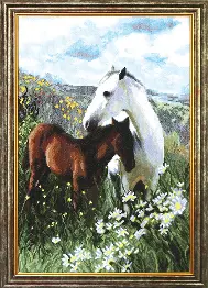 Cross-stitch kit №573 "In the cammomilies"