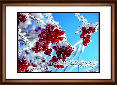 Rhinestone decoration kit KC-1041 "Rowan-berry tree"
