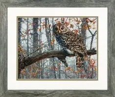 70-35311 Counted cross stitch kit DIMENSIONS "Wise Owl"