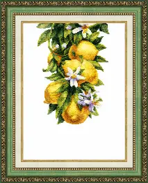 BT-136 Counted cross stitch kit Crystal Art "Salutary lemons"