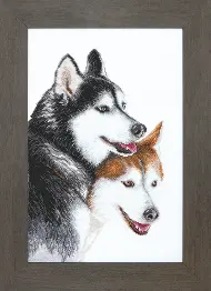 Cross-stitch kit M-265 "Husky"