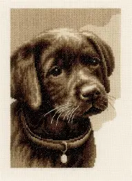 PN-0158080 Vervaco "Labrador Puppy"