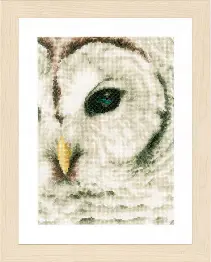 PN-0163781 Counted cross stitch kit LanArte "Snowowl"