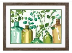 73-91856 Paint-by-numbers set Dimensions Plants in jars Plants in glasses