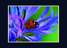 Rhinestone decoration kit KC-1043 "In the shadow of cornflower"