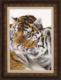 Cross-stitch kit M-281 "Nice couple"