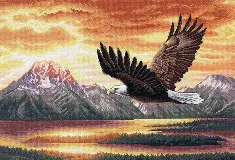 35165 Counted cross stitch kit DIMENSIONS "Silent Flight"