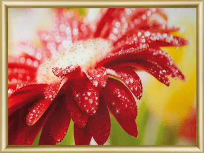 Набор картина стразами Чарівна Мить КС-177 "Гербера". Catalog. Kits