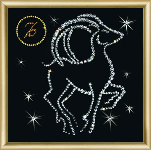Набор картина стразами Чарівна Мить КС-009 "Знак зодиака Козерог". Catalog. Kits