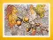 BT-503 Embellished stitch kit Crystal Art "Autumn sketch"