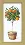 BT-127 Counted cross stitch kit Crystal Art "Orange tree"