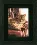 PN-0021762 Counted cross stitch kit LanArte "Relaxed Tabby"