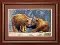 Cross-stitch kit №504 "Bear cubs"