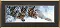 Cross-stitch kit №436 "Wolves"