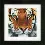PN-0156010 Counted cross stitch kit LanArte "Tiger"