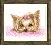 Cross-stitch kit M-240 "Yorkshire terrier"