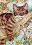 65090 Counted cross stitch kit DIMENSIONS "Napping Kitten"