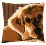 PN-0158555 Vervaco Cross Stitch Cushion "Dog"