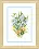 BT-060 Counted cross stitch kit Crystal Art "Spring bouquet"