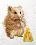 M-528 Counted cross stitch kit "Hamster"