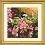 71-07244 Gobelin stitching kit DIMENSIONS "Chikadee in Pink"