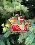 Christmas tree toy cross-stitch kit Т-01 Set of pictures "Christmas toys"