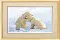 Cross-stitch kit А-087 "White bears"