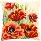 PN-0149724 Vervaco Cross Stitch Cushion "Poppies II"