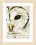 PN-0163781 Counted cross stitch kit LanArte "Snowowl"