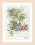 PN-0168447 Counted cross stitch kit LanArte "Flowers & Bicycle"