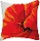 Cross-stitch kit RT-180 "Poppy"
