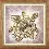 Partial embroidery kit RK-135 "Gold turtle"