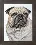 Beadwork kit B-734 "Pug-dog"